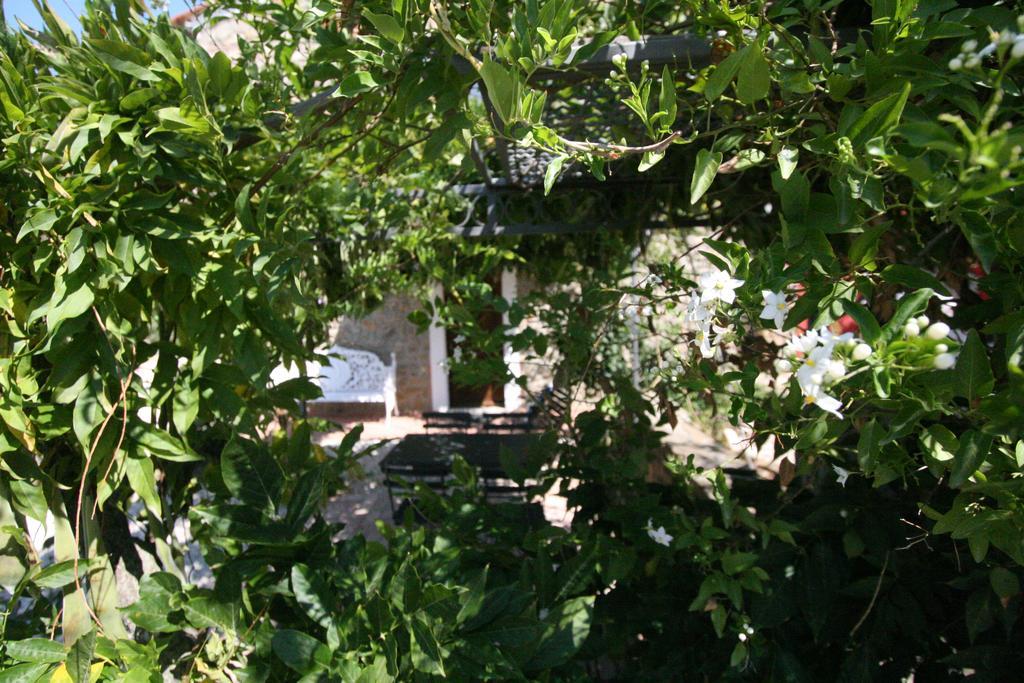 Le Coste Casa Vacanze Holiday home Scarlino